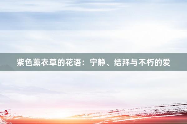 紫色薰衣草的花语：宁静、结拜与不朽的爱